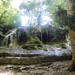 La Forêt de St Pons avec le Guide Officiel Photo 4