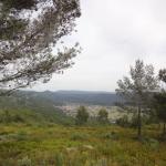 La Forêt de St Pons avec le Guide Officiel Photo 25