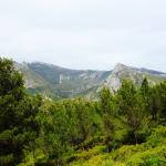 La Forêt de St Pons avec le Guide Officiel Photo 40