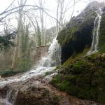 La Forêt de St Pons avec le Guide Officiel Photo 6