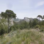 La Forêt de St Pons avec le Guide Officiel Photo 9