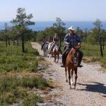 Open-ranch-crinieres-cote-bleu dressage-cheval-martigues-open-ranch.jpg