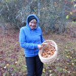 Cueillette de champignons 11/11 Photo3