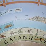 Calanque de Marseilleveyre ! lun.02/03 Photo3