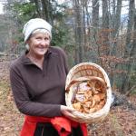 Cueillette de champignons ! Photo3