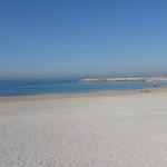 Petite journée à la plage du Prado ! 14/04 Photo32