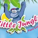 Little-jungle 9a42d815f9766a1df14ee8a16f65441c7ad49099.jpg